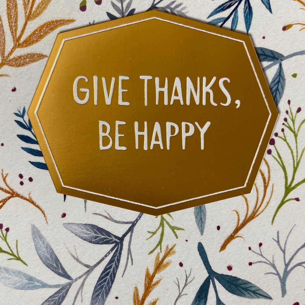 Happy Thanksgiving to my fellow Poshers today!